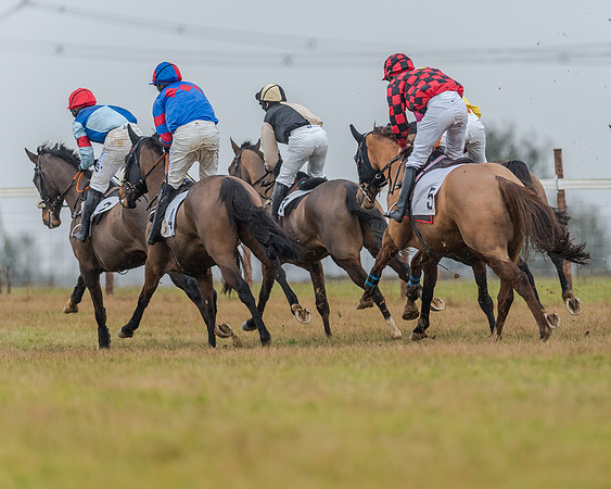 Race 3 - Young Horse Maiden (25 of 49)