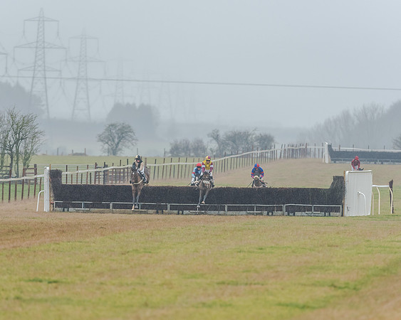 Race 3 - Young Horse Maiden (28 of 49)