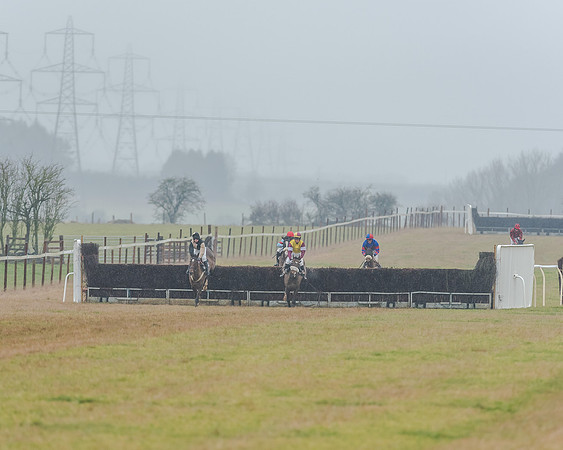 Race 3 - Young Horse Maiden (29 of 49)