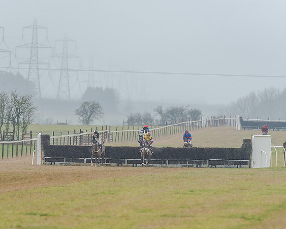 Race 3 - Young Horse Maiden (30 of 49)