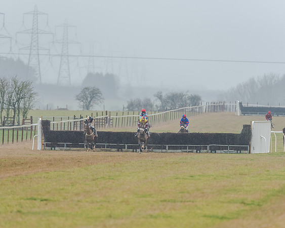 Race 3 - Young Horse Maiden (32 of 49)
