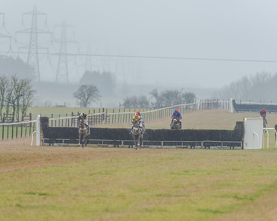 Race 3 - Young Horse Maiden (33 of 49)