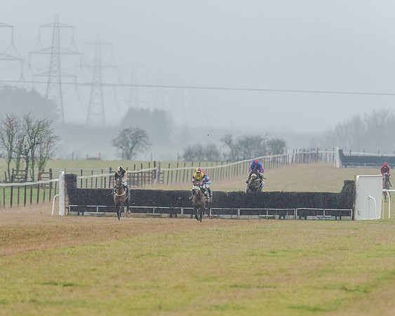 Race 3 - Young Horse Maiden (34 of 49)