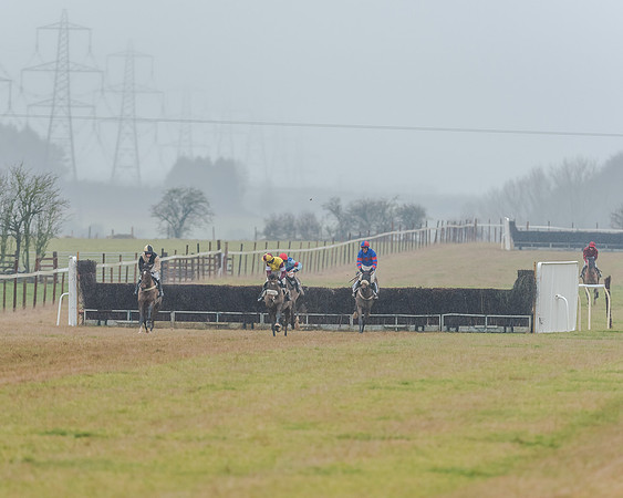 Race 3 - Young Horse Maiden (36 of 49)