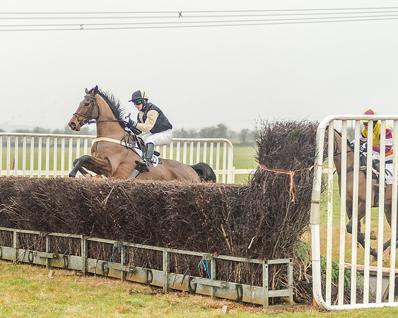 Race 3 - Young Horse Maiden (39 of 49)