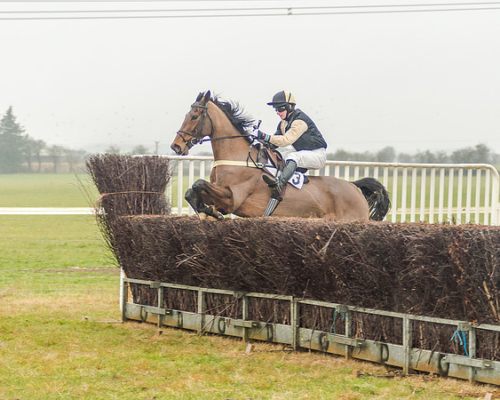 Race 3 - Young Horse Maiden (40 of 49)