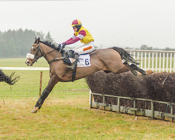 Race 3 - Young Horse Maiden (42 of 49)