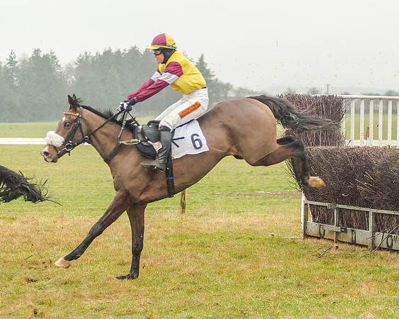 Race 3 - Young Horse Maiden (43 of 49)