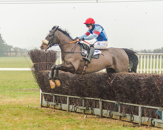 Race 3 - Young Horse Maiden (44 of 49)
