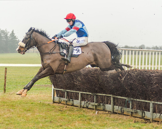 Race 3 - Young Horse Maiden (45 of 49)