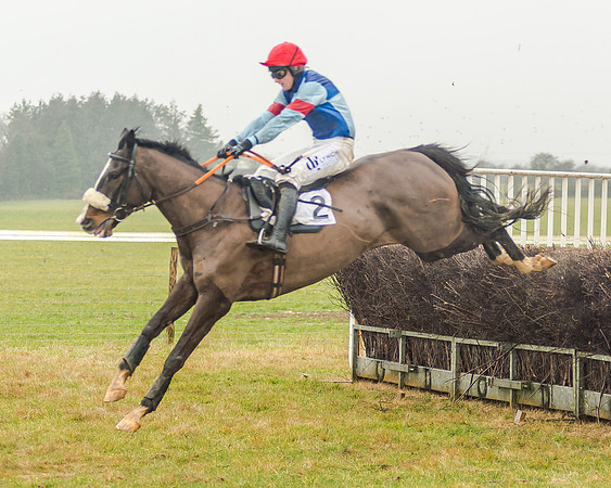 Race 3 - Young Horse Maiden (46 of 49)