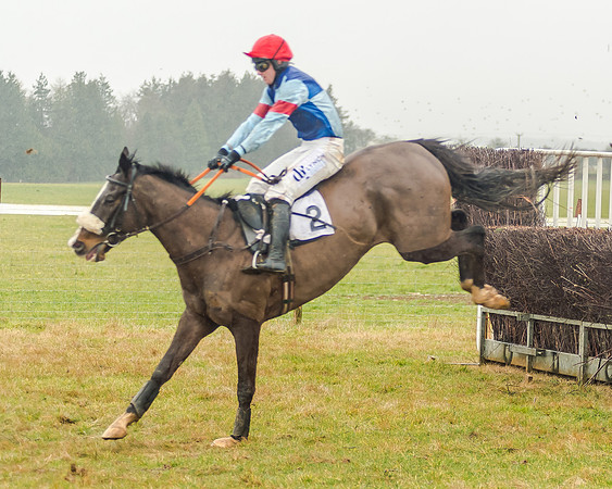 Race 3 - Young Horse Maiden (47 of 49)