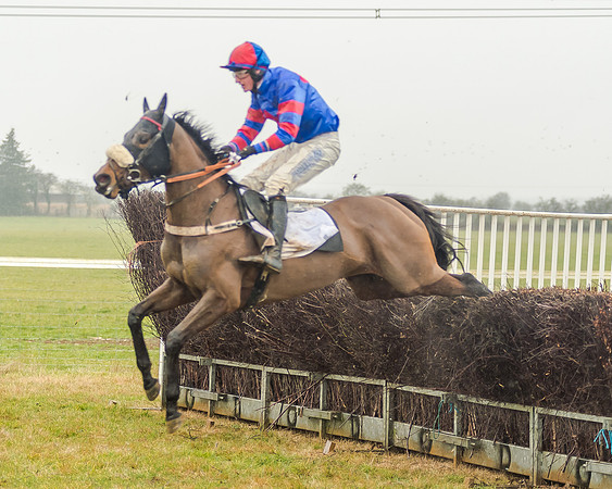 Race 3 - Young Horse Maiden (48 of 49)