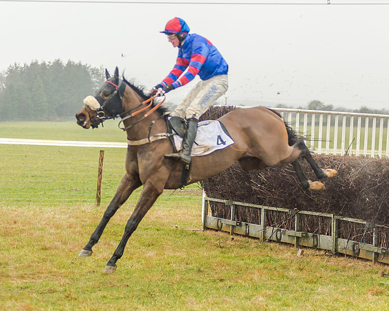 Race 3 - Young Horse Maiden (49 of 49)