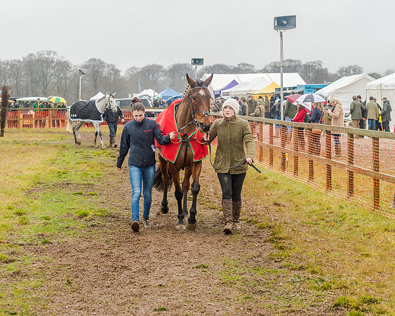 Race 6 - Novice Riders Race (3 of 179)