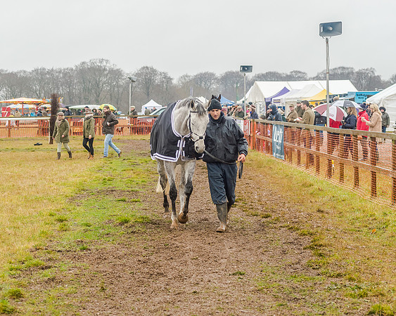 Race 6 - Novice Riders Race (5 of 179)