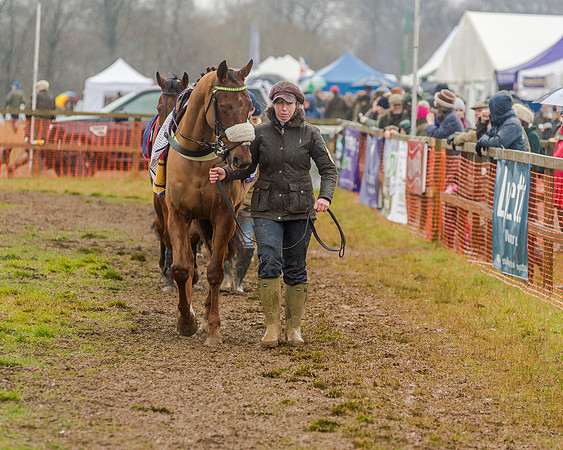 Race 6 - Novice Riders Race (8 of 179)