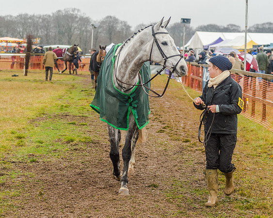 Race 6 - Novice Riders Race (17 of 179)
