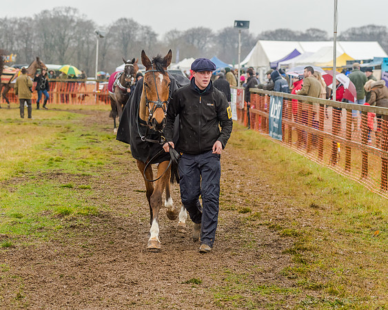 Race 6 - Novice Riders Race (22 of 179)