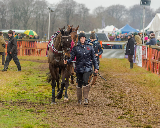 Race 6 - Novice Riders Race (24 of 179)