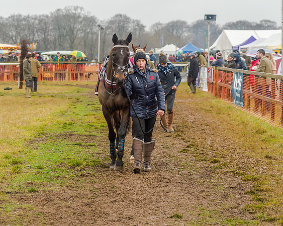 Race 6 - Novice Riders Race (26 of 179)