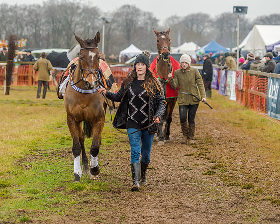 Race 6 - Novice Riders Race (34 of 179)