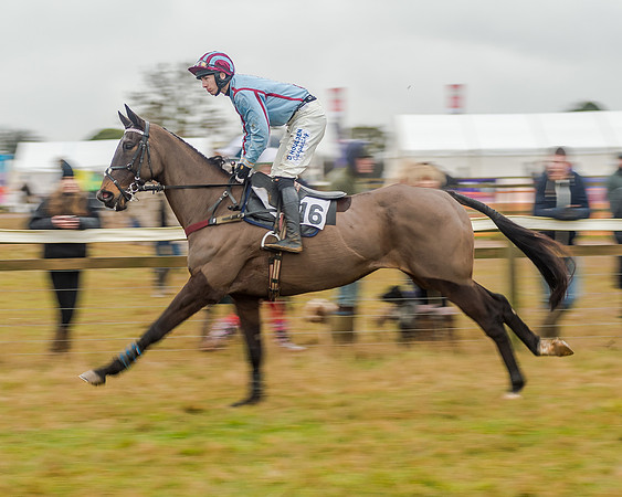 Race 6 - Novice Riders Race (81 of 179)