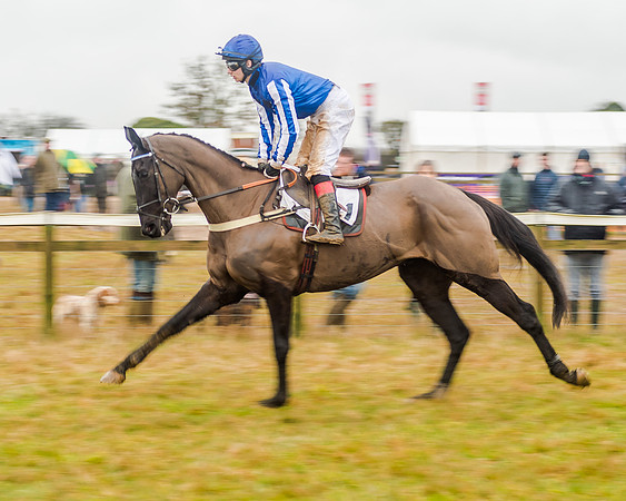 Race 6 - Novice Riders Race (88 of 179)