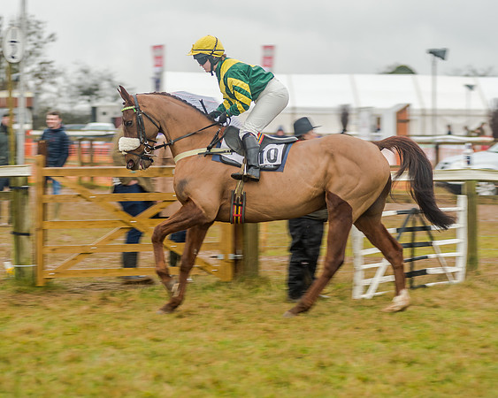 Race 6 - Novice Riders Race (93 of 179)