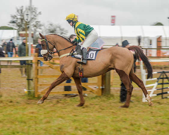 Race 6 - Novice Riders Race (94 of 179)