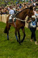 Old Berks at Lockinge Mixed Open Race