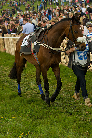 Old Berks at Lockinge Mixed Open Race