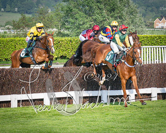 Race 3 - The Junior Jumpers open hunter's steeple chase 3m1f56y (52 of 156)