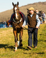 Race 1 Div 2 - 2M4F Maiden (21 of 113).jpg