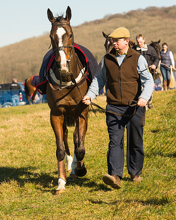 Race 1 Div 2 - 2M4F Maiden (21 of 113).jpg
