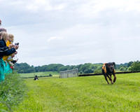 Race 7 - Hound Race etc (70 of 108)