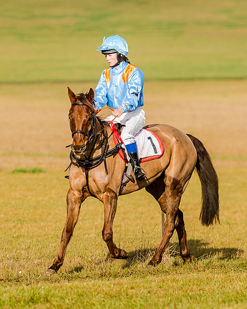 138 cm Div 1 - Diptford Moonwalker - Sarah longthorn  (1 of 2)