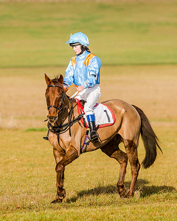 138 cm Div 1 - Diptford Moonwalker - Sarah longthorn  (2 of 2)