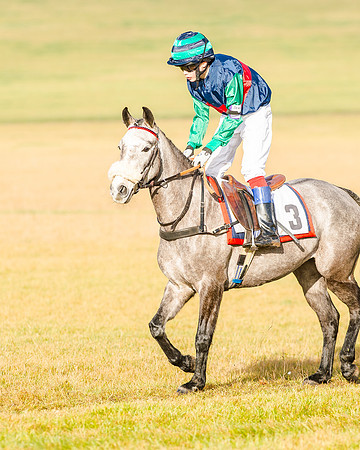 138 cm Div 1 - Grey Goose - Will Featherstone (1 of 7)