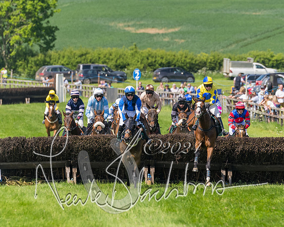 Race 2 - The Maiden  (199 of 442)