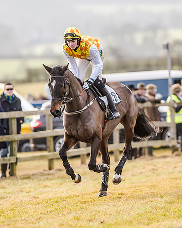 Race 2 - Young Horse Maiden (2 of 51)