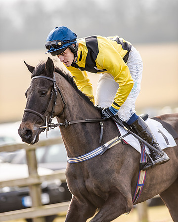 Race 2 - Young Horse Maiden (3 of 51)
