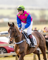 Race 2 - Young Horse Maiden (4 of 51)