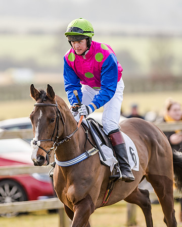 Race 2 - Young Horse Maiden (4 of 51)