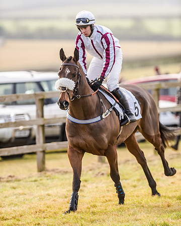 Race 2 - Young Horse Maiden (5 of 51)