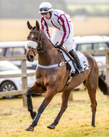 Race 2 - Young Horse Maiden (6 of 51)