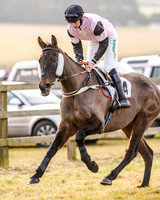 Race 2 - Young Horse Maiden (7 of 51)