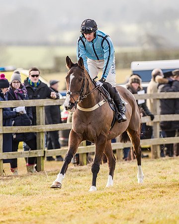 Race 2 - Young Horse Maiden (8 of 51)