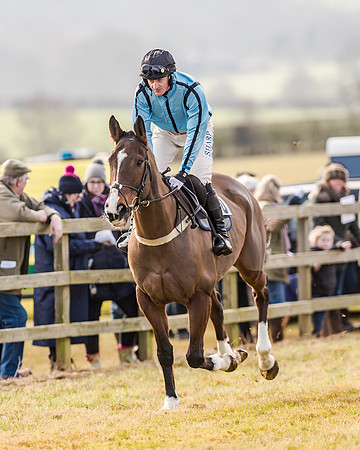 Race 2 - Young Horse Maiden (9 of 51)