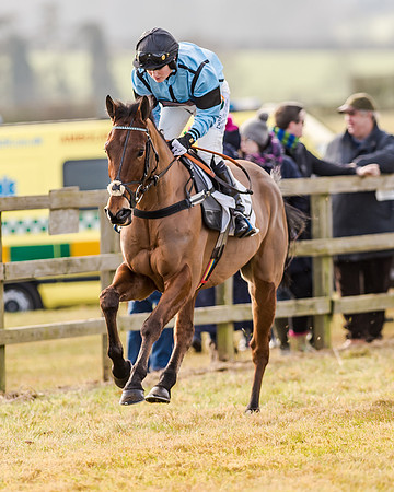 Race 2 - Young Horse Maiden (10 of 51)